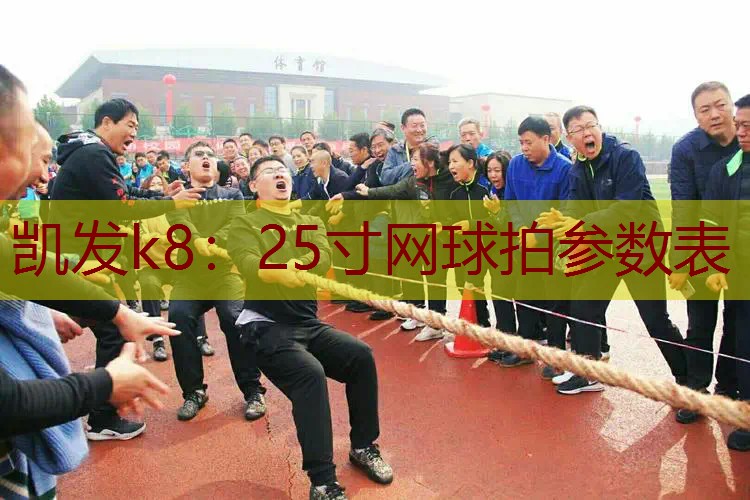 25寸网球拍参数表