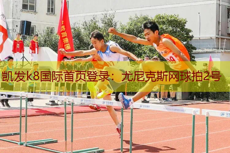 尤尼克斯网球拍2号