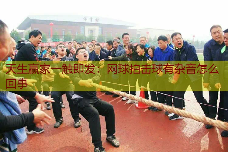 网球拍击球有杂音怎么回事