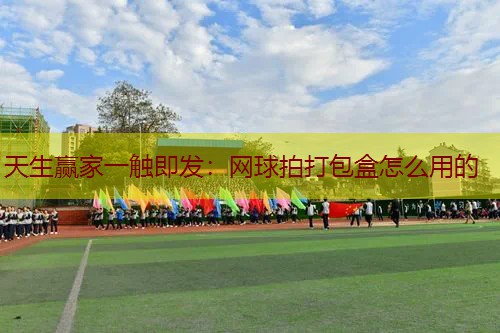 网球拍打包盒怎么用的