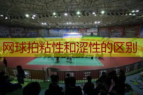 网球拍粘性和涩性的区别